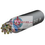 5x2x0.5 COLANL DATA-FLEX LiYCY(TP) 