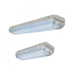 FSSCYD series of anti-corrosion waterproof and dustproof (emergency) Fluorescent