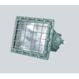 BAT51 series flame-proof floodlight lamp