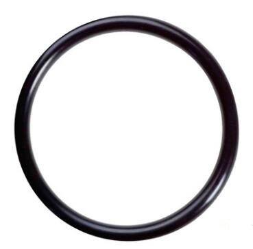 O-RING(530301011250035506) GB3452.1