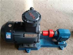 ZYB6/4.0   ZYB Supercharged Fuel Pump