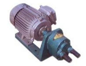 S-10 S-type gear pump