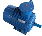 YB3-132M2-6 Explosion proof motor​​