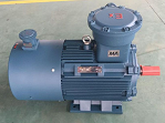 YB3-160M2-8 Explosion proof motor​​