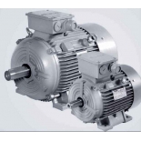 1LE1001-1CB22-2FA4-Z，Siemens，MOTOR,ELECTRIC