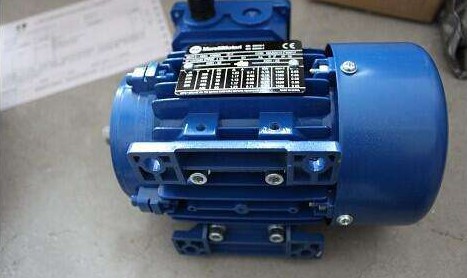 MAA 100LA4_B5，MarelliMotori，ELECTROMOTOR