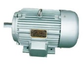 Y90S-2   ​ Three-phase Asynchronous Motor​  ​