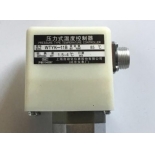 WTYK-11B pressure temperature controller