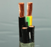CF9.UL 25.18  Electrical control