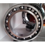 6028  Bearing